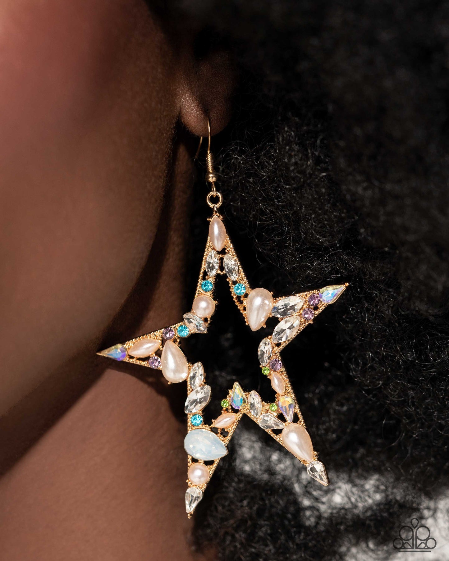 Paparazzi Accessories - Variegated Value - Multi Earring