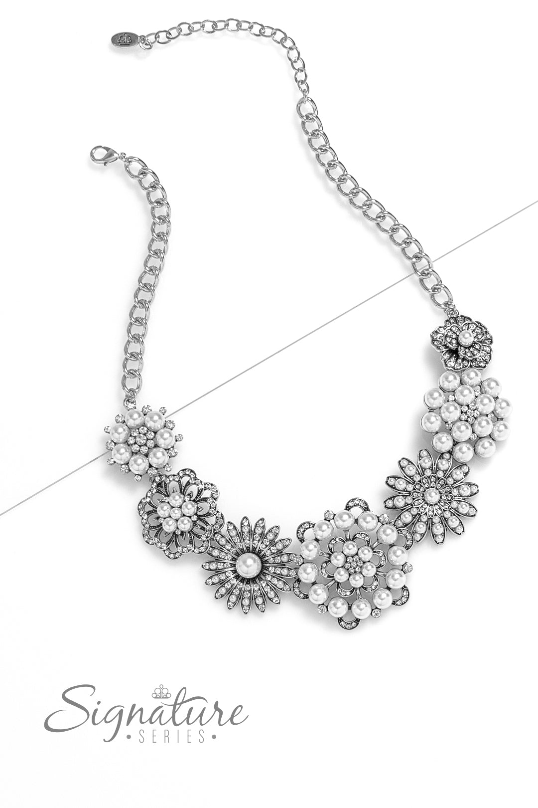 Paparazzi Accessories - The Raven Zi Collection Necklace